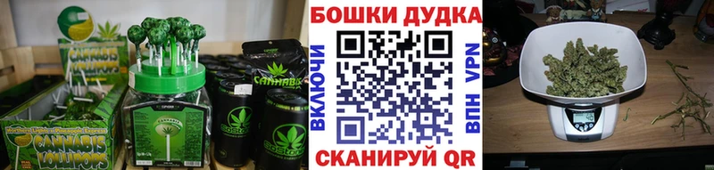Canna-Cookies конопля  Приозерск 