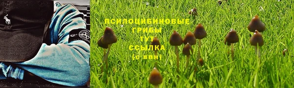 не бодяженный Балахна