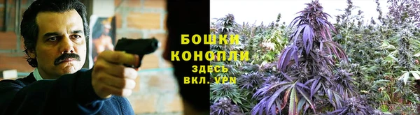 шишки Балабаново