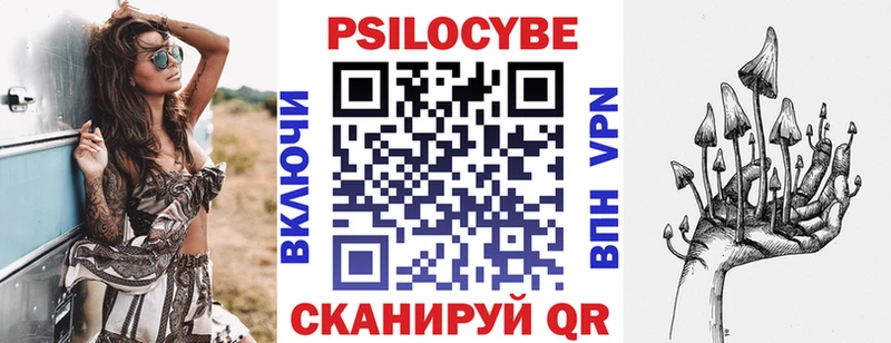 Псилоцибиновые грибы GOLDEN TEACHER где можно купить darknet наркотические препараты Приозерск